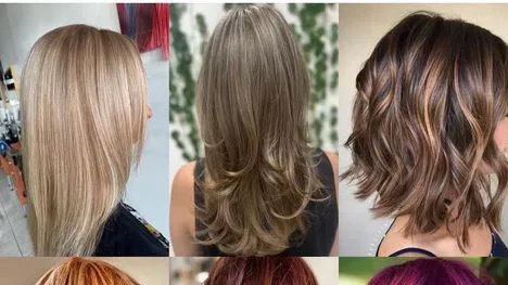 Paris Hair The New Look — Hair salon in Temple Terrace